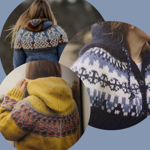 ijslandse hoodie